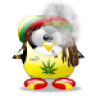 BonghornLeghorn