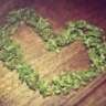 fortheloveofweed