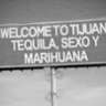 TijuanaMarijuana