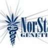 NorStar