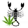 Scorpigrow