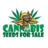 A1Cannabis_Seeds