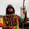 Weed Hero 420