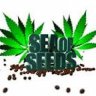 Seaofseeds