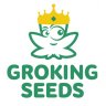 GroKing Seeds