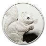 Silver Squirrel