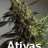 Ativas