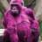 purplegorillas