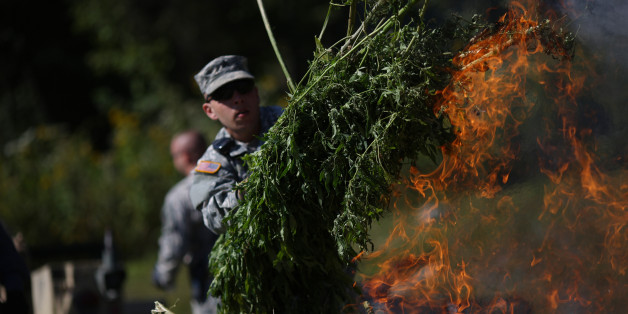 n-MARIJUANA-PLANTS-DRUG-ENFORCEMENT-628x314.jpg