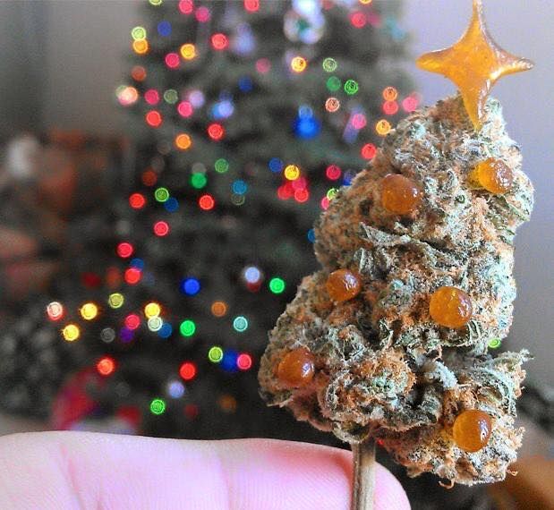 Image result for weed christmas bud