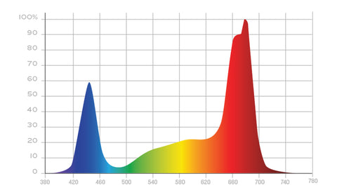 X² Spectrum