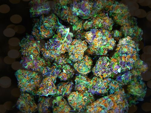 beautifulnugs.jpg