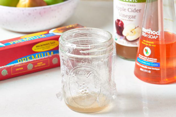 DIY fruit fly trap