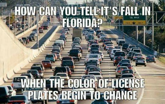 15 Downright Funny Memes You'll Only Get If You're From Florida'll Only Get If You're From Florida