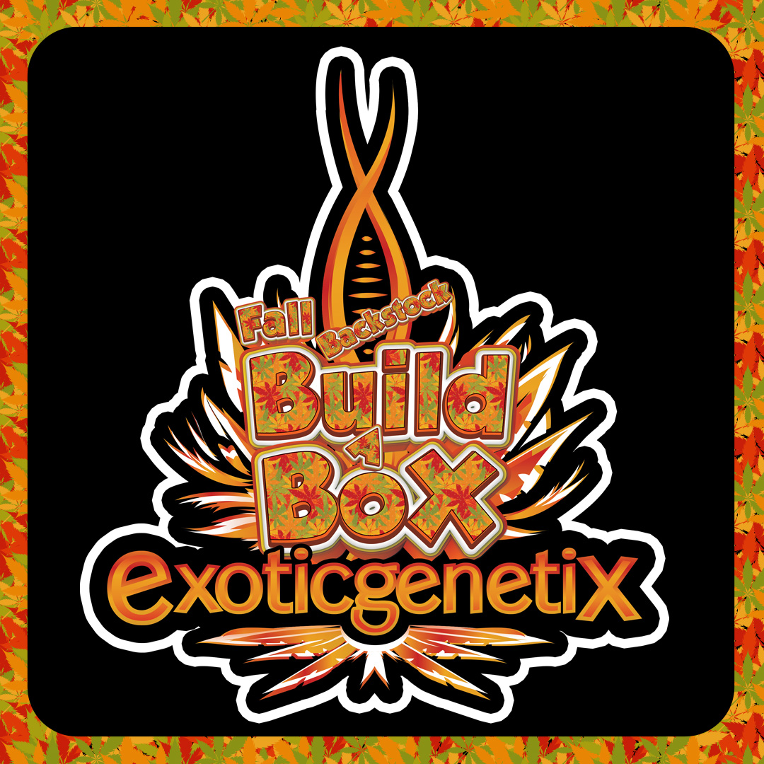 www.exoticgenetix.com
