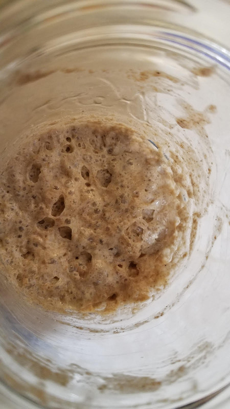 sourdoughstarter11212021.jpg