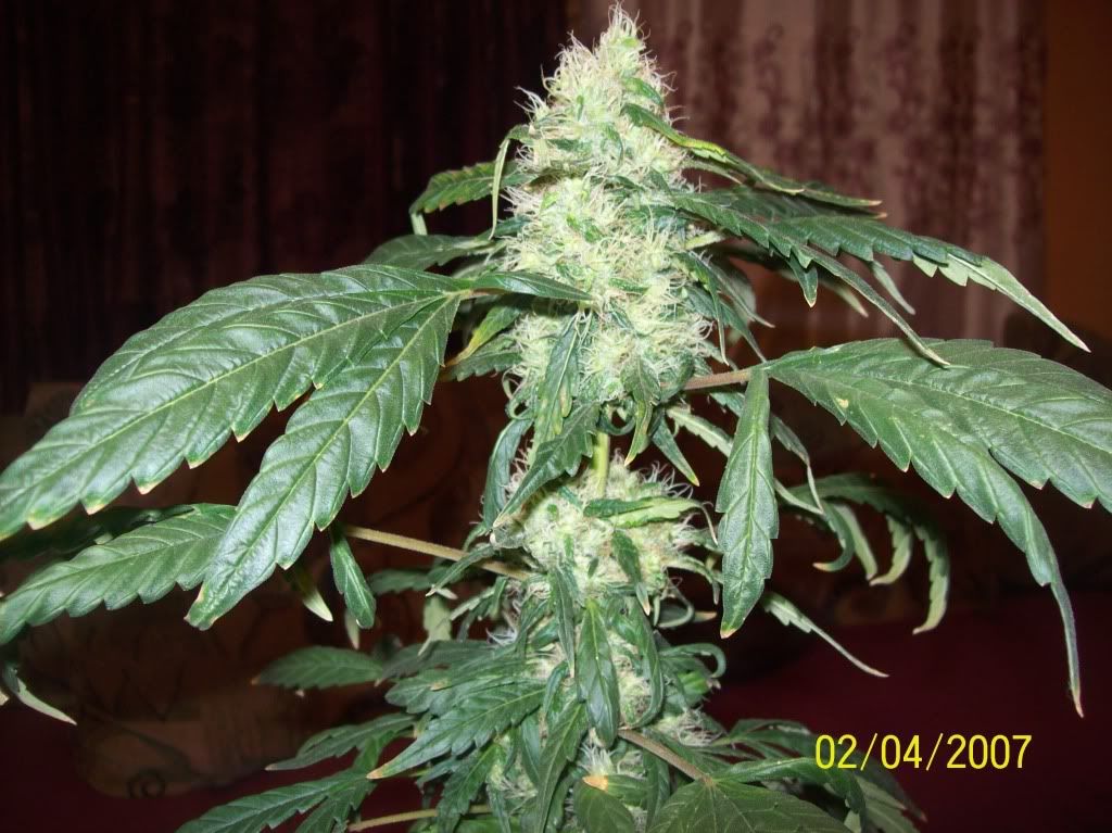 100_8020.jpg