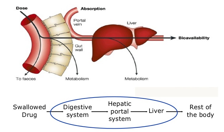 first-pass-metabolism.jpg