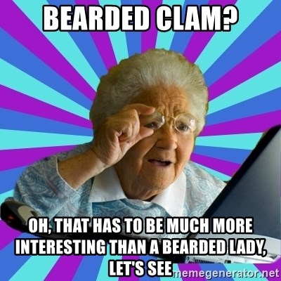 bearded clam? oh, that has to be much more interesting than a bearded lady,  let's see - old lady | Meme Generator