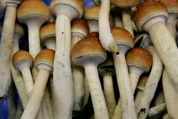 Magic-Mushrooms.jpg