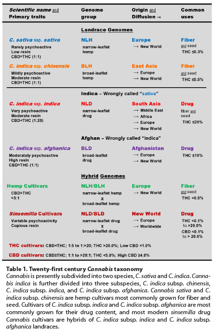 cannabisvarieties.jpg