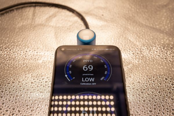 growlightmeter.com