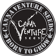 www.cannaventureseeds.com