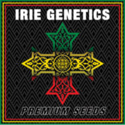 iriegenetics.com