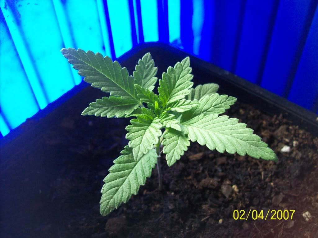 100_8068.jpg