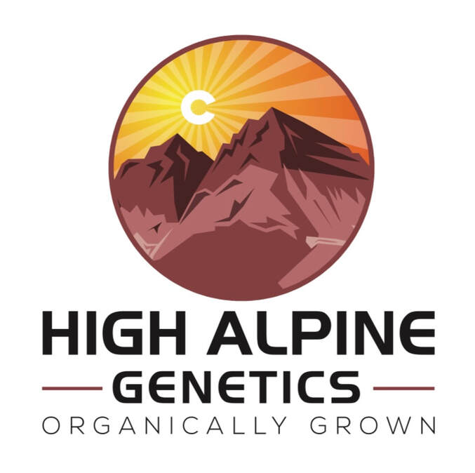 www.highalpinegenetics.com