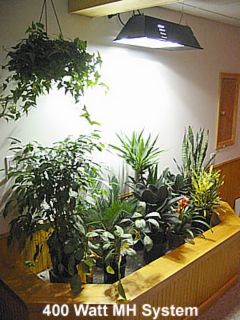 l-gardenlight-400MH.jpg