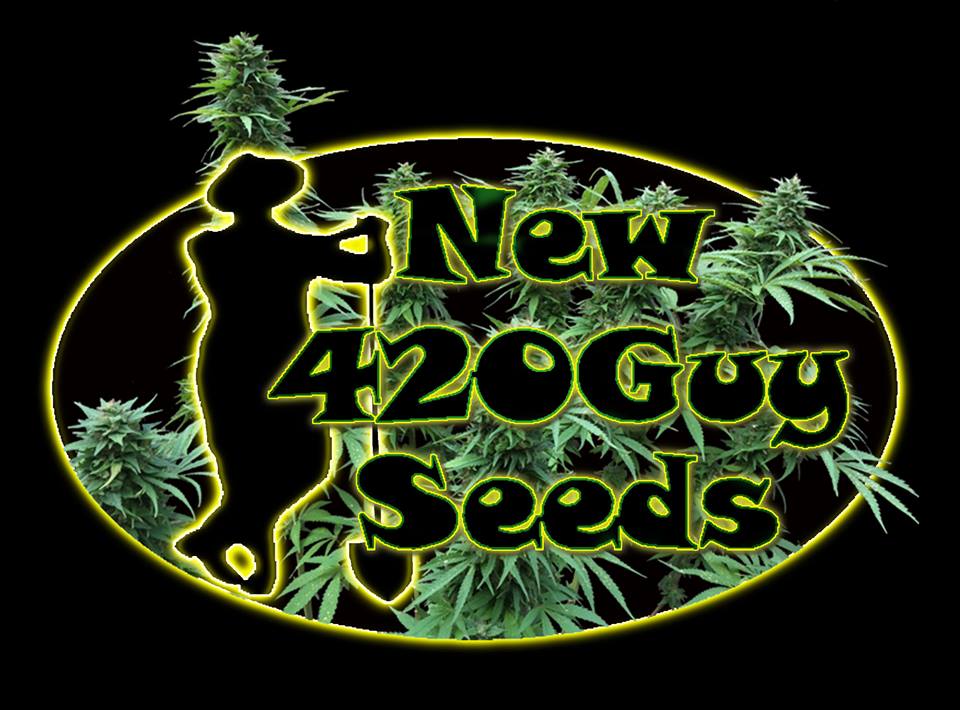 new420guyseeds.com