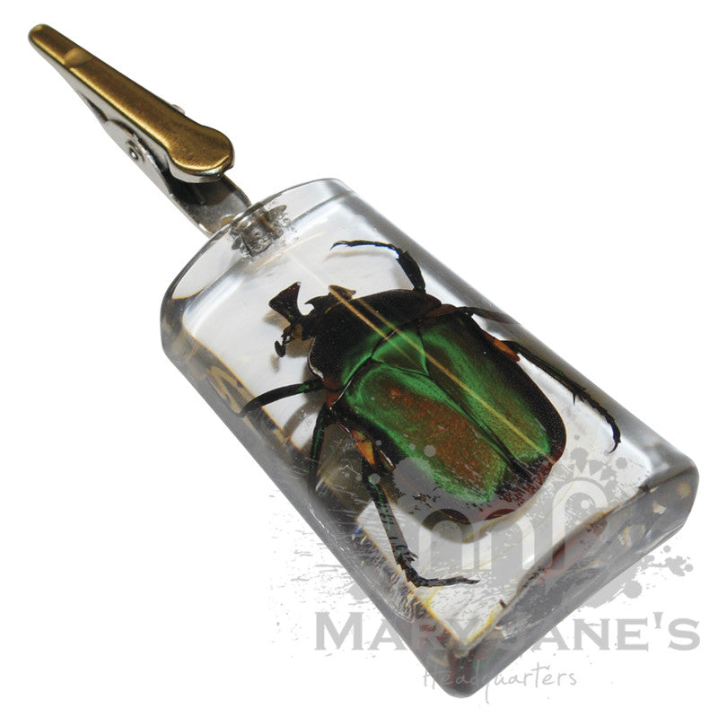 Clear Bug Roach Clips – Mary Jane's Headquarters