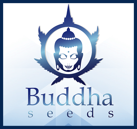 www.buddhaseedbank.com