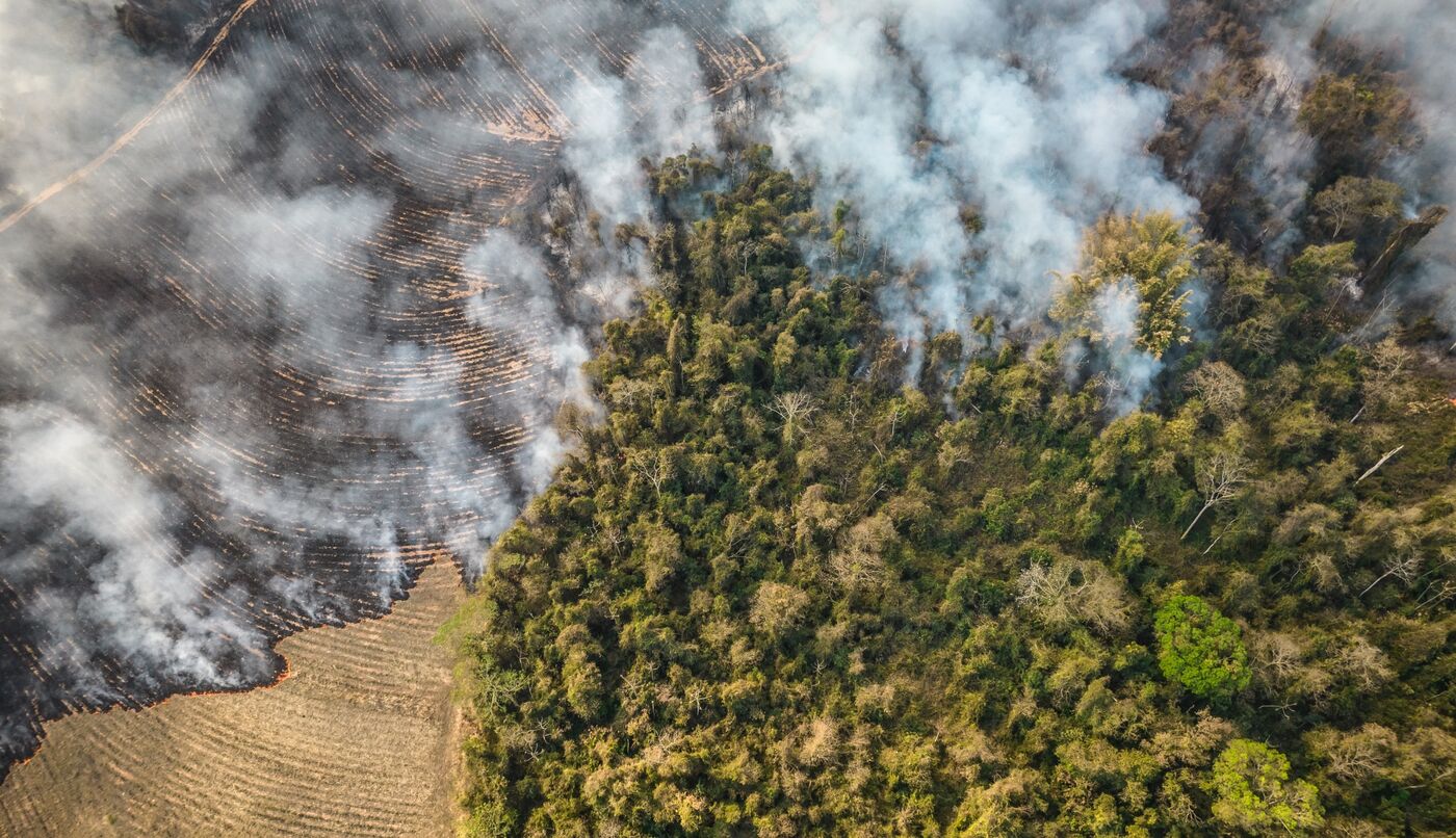 Fires burn on a farm near environmentally protected land in Sao Paulo state on Aug. 24.