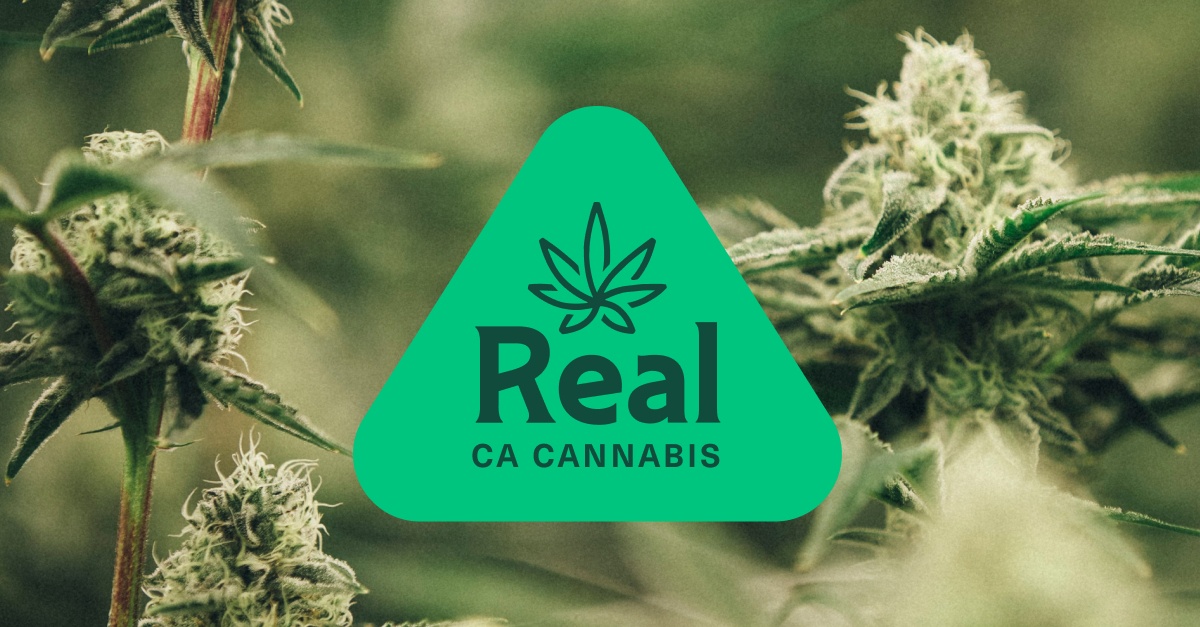 real.cannabis.ca.gov