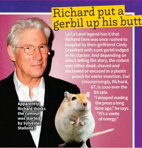 Image result for richard gere gerbil