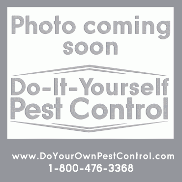 store.doyourownpestcontrol.com