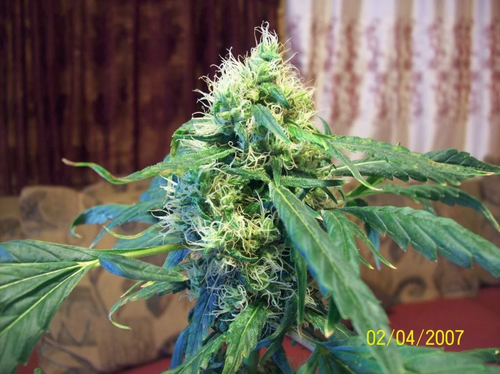 100_8027.jpg