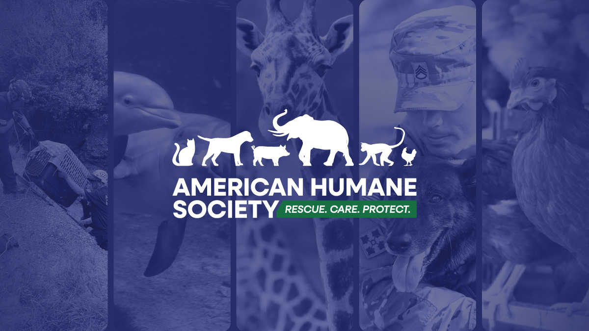 www.americanhumane.org